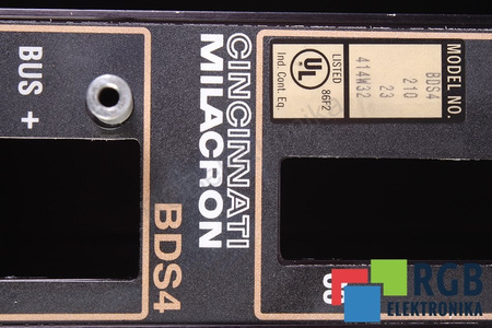 BDS4 CINCINNATI CUTIE