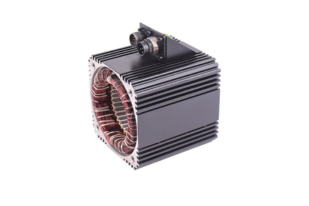 MS59D-YYYY-013 AEG STATOR