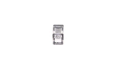 SIGURANŢĂ A60L-0001-0172#DM20 FANUC 2A