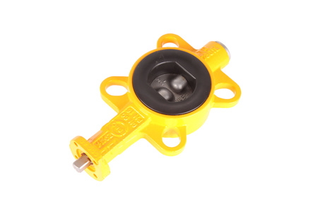 Z011-A EBRO ARMATUREN DN50 SUPAPĂ FLUTURE