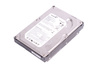 ST3802110A SEAGATE 80GB
