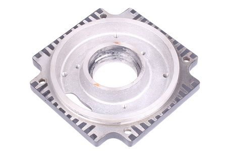 SB6024M-10011Z RAGONOT LANCE SPATE