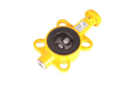 Z011-A EBRO ARMATUREN DN50 SUPAPĂ FLUTURE