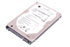 ST960813AS SEAGATE