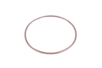 100X3 FPM ORING  SIGILIU DE INEL