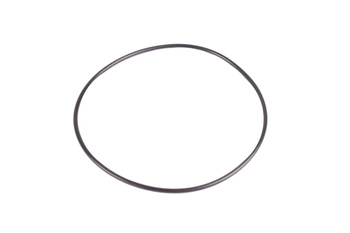 ORING 100X2.5 NBR SIGILIU DE INEL